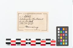 Etikett zu Bronzearmreif (NHMW-PRAE-026102)